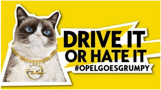 Grumpycat Opel